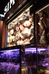 Bologna - Culinaria (5)