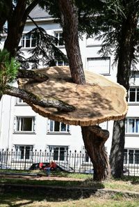 Nantes et ses arbres