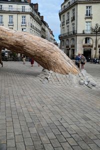 Nantes et ses arbres