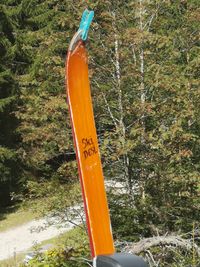 Fr&uuml;her war`s die Ski-Hasi - heute ist`s Ski-Desi